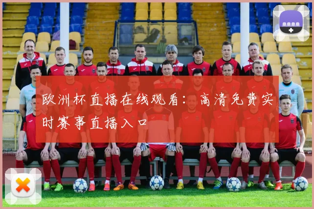 欧洲杯直播在线观看：高清免费实时赛事直播入口