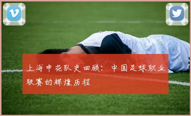 上海申花队史回顾:中国足球职业联赛的辉煌历程